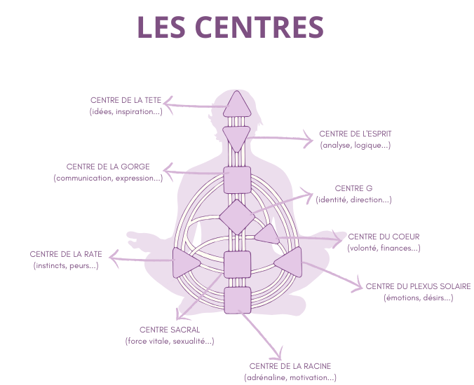 les 9 centres en human design et leur rôle